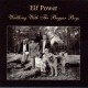 ELF POWER - Walking with the beggar boys (CD)